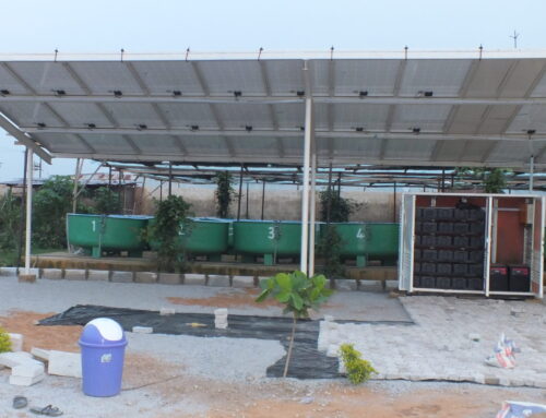 Gishiri 12 kW Solar PV Farm
